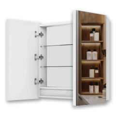 Дзеркальна шафа з LED підсвіткою  Vista Roses Mar LS 700x700 (200168)